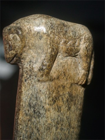 bone-handeled-knife-dog-wearing-harness