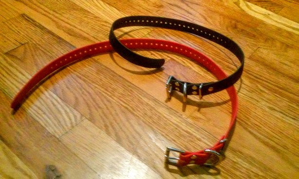 dog-collars